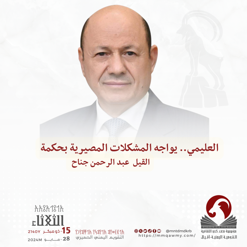 العليمي.. مواجهة المشاكل المصيرية بحكمة القائد